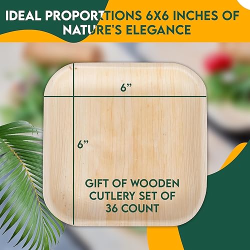 Miniatura 4 de Perfectware Platos cuadrados de hoja de palma de 6 pulgadas Vajilla ecológica Paquete de 25 platos y regalo adicional de cubiertos de madera paquete