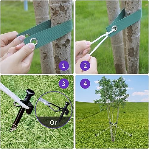 Miniatura 2 de Kits de estacas de acero resistente para árboles, kits de estacas y soportes para árboles jóvenes contra el mal tiempo, incluye 3 correas de árbol