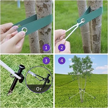 Heavy Duty Steel Tree Stake Kits,Tree Staking and Supports Kits for Young Trees Against Bad Weather, Include 3 PCS Tree Straps for Staking, 3 PCS 11.8 Inch Tree Stakes and 31.2 Feet Rope for Anchoring