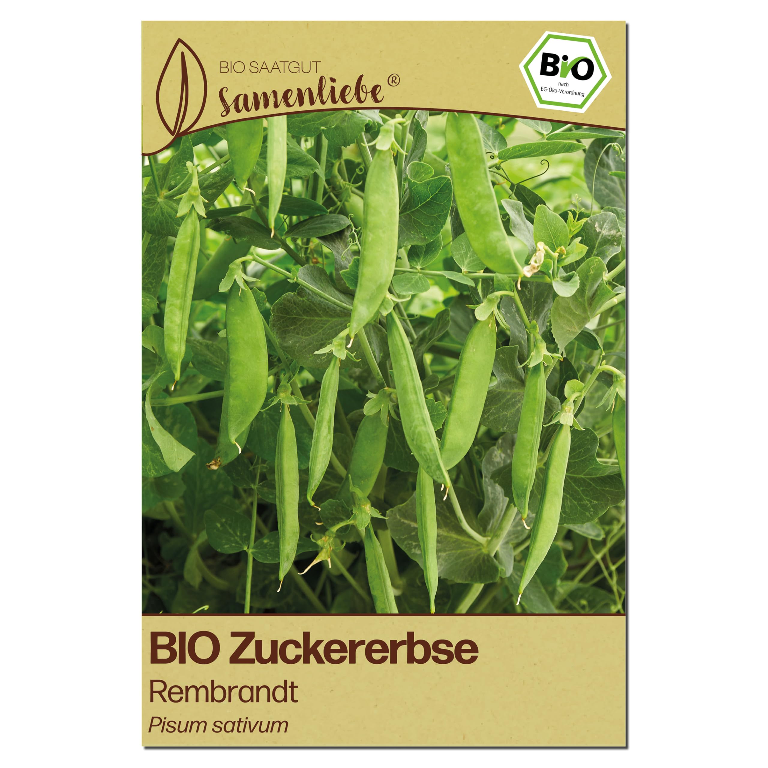 Samenliebe BIO Zuckerebsen Samen | Erbse Rembrandt - robust & kletternd - samenfestes BIO Saatgut
