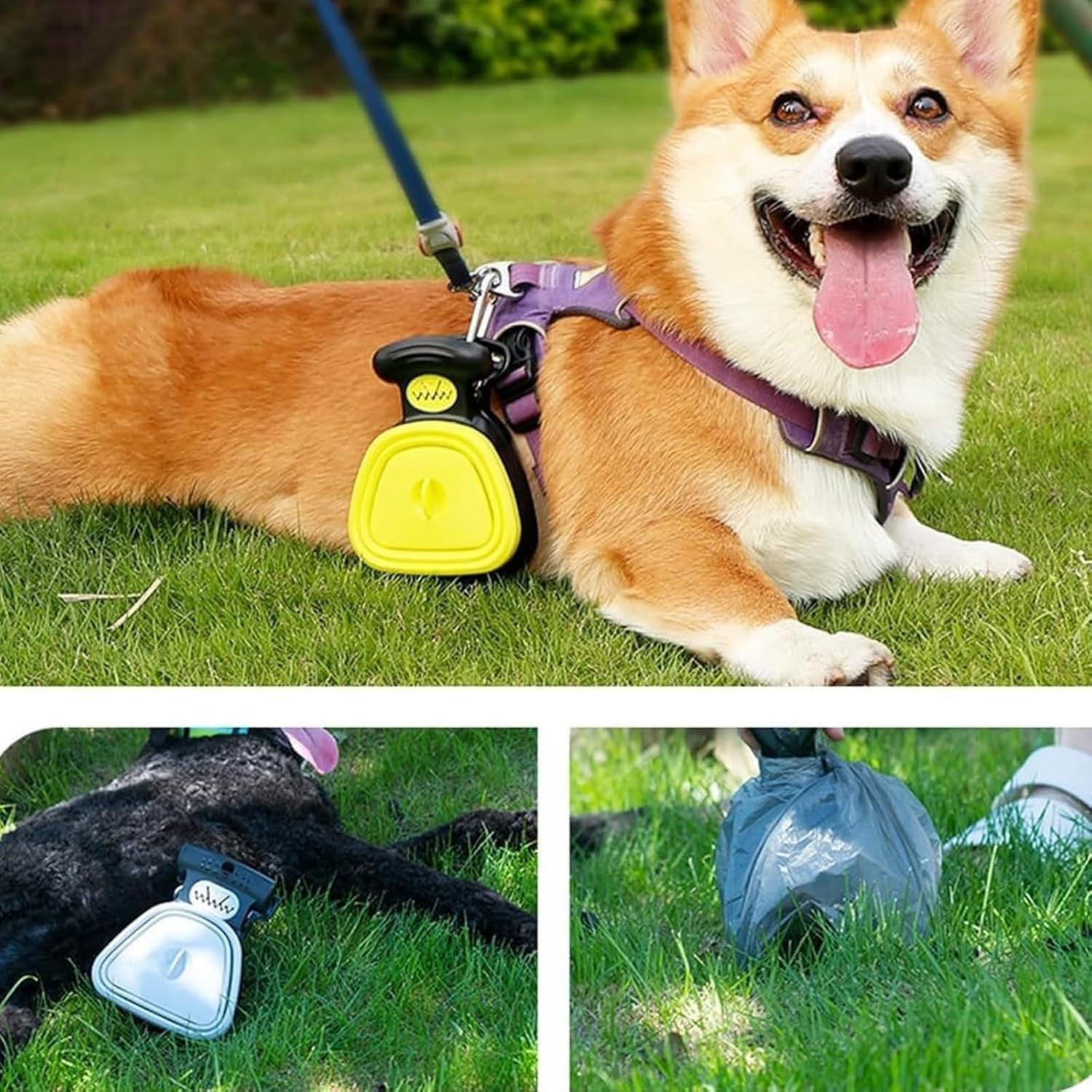 Pelle pour Chien, Pelle à crottes Portable et Pliable, avec 6 Rouleaux de Sacs et boîte de Rangement. Dites Adieu aux Mains Sales ! Idéale pour Les promenades et Les Voyages.