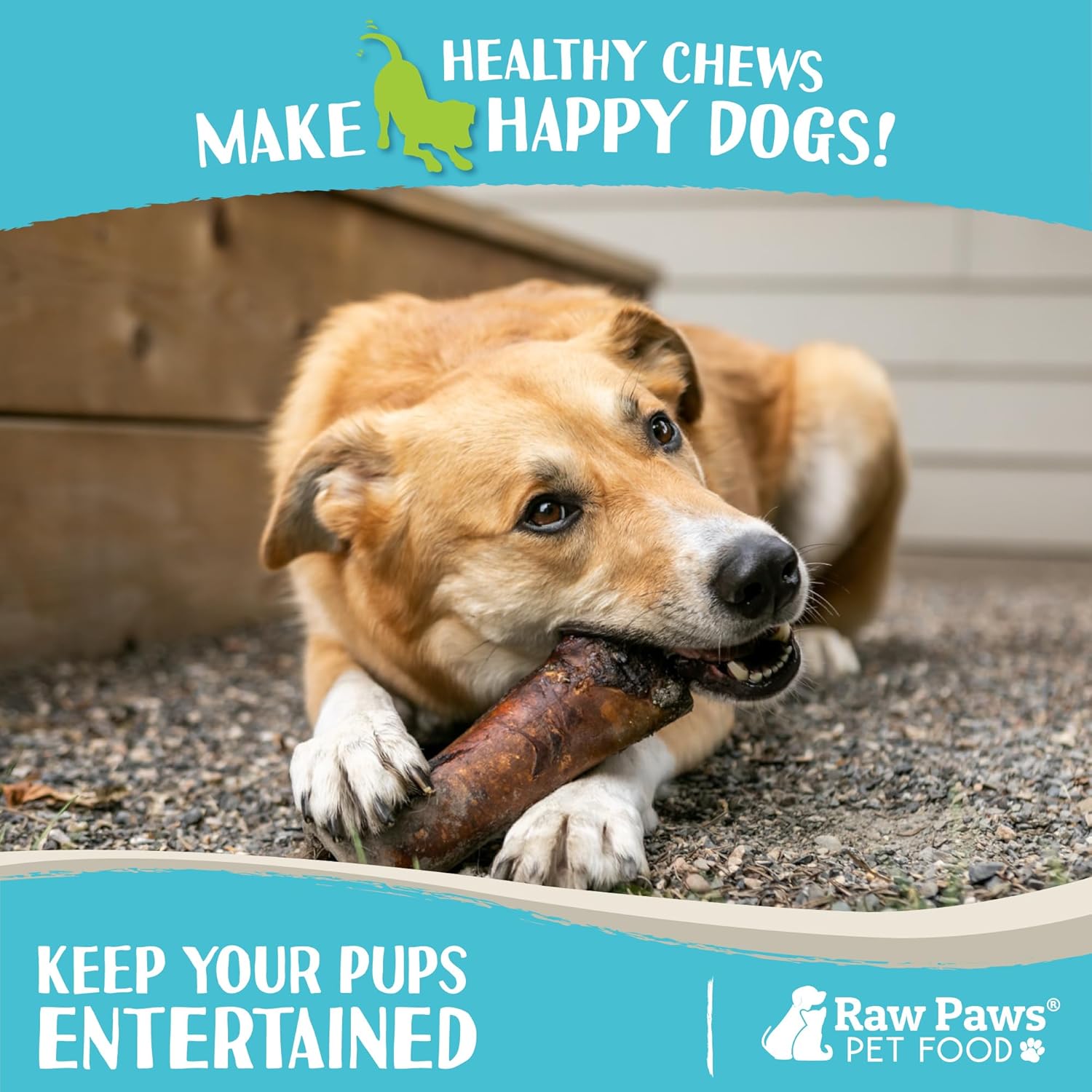 Raw Paws Smoked Beef Marrow Bones for Dogs - 6-Inch (4-Count) Packed in USA - Beef Bones - Bone Marrow Treats for Dog - Dog Chew for Aggressive Chewers