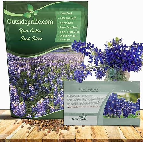 Outsidepride Texas Bluebonnet Seed - 500 semillas Outsidepride Texas Bluebonnet Seed - 500 semillas