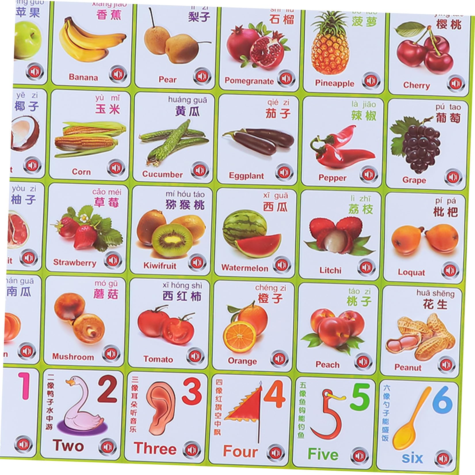 Kisangel Interaktive Lernposter Bilingual Lernen mit Audiofunktion 2 Stück PVC Material für Kleinkinder Geeignet für Babys und Kleinkinder im Kinderzimmer