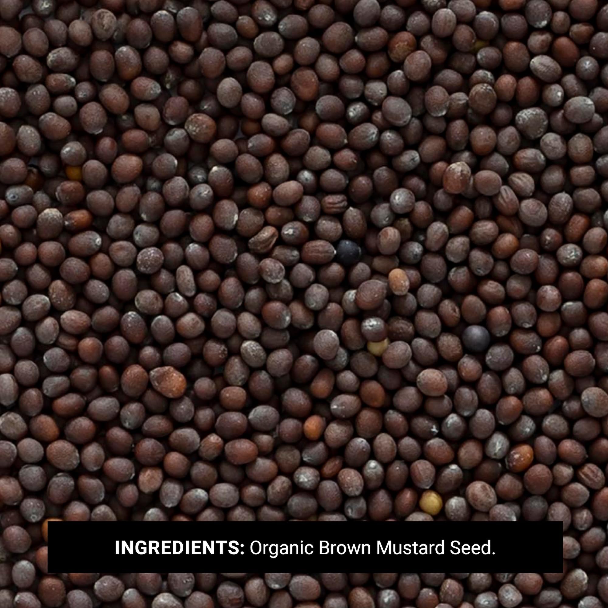 Frontier Bulk Whole Certified Organic Mustard Seed Brown 1 lb product thumbnail 3