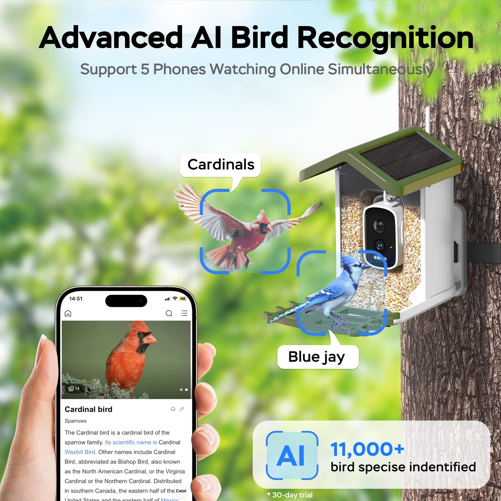 Mangeoire Intelligente Connectée Sans Fil, Solaire - Smart Birdfeeder - Avidsen - 127164