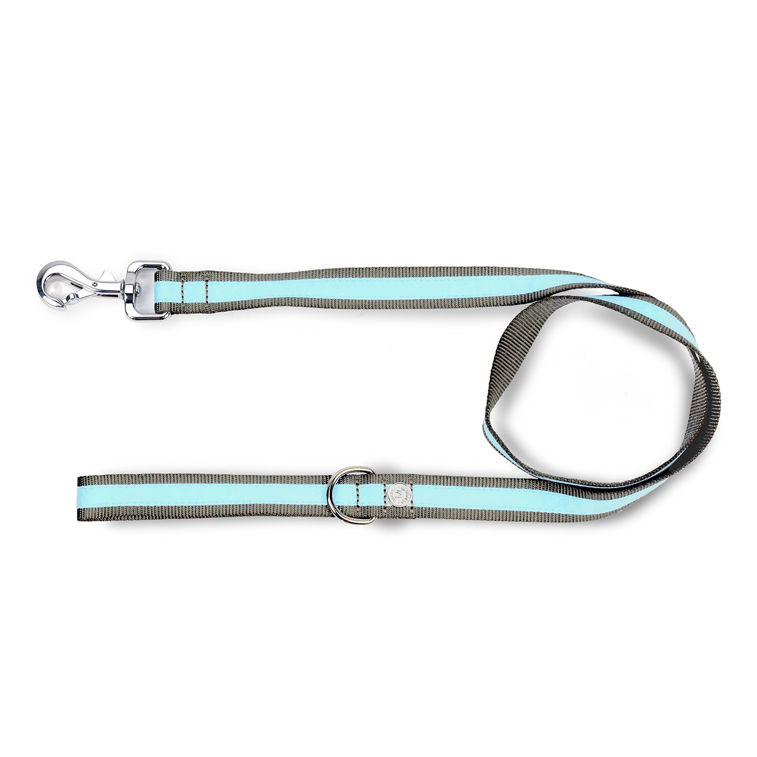 Martha StewartClassic Webbing with Overlay leash for Dogs, Blue, 4' (MSR0007L4)