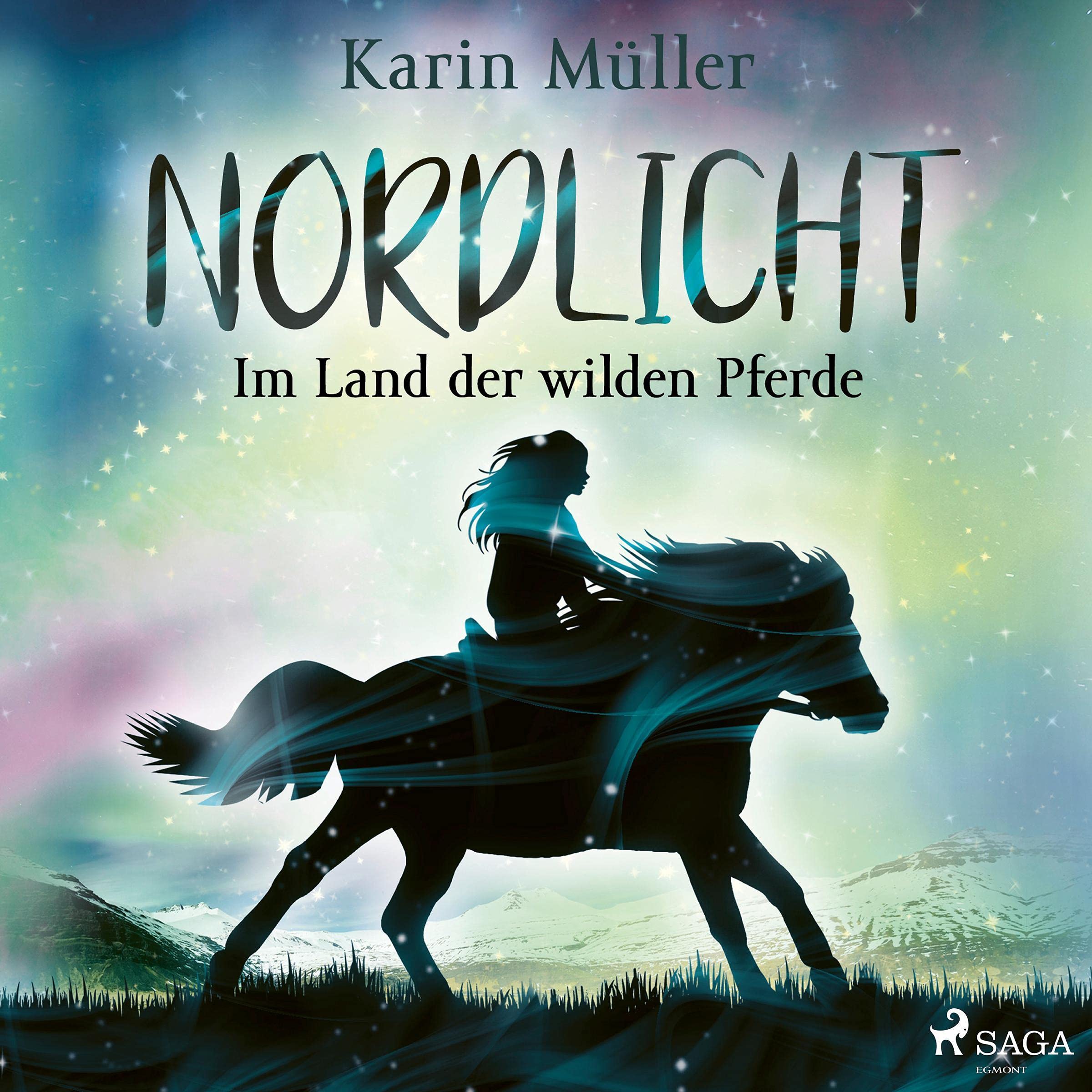 Cover art for Im Land der wilden Pferde