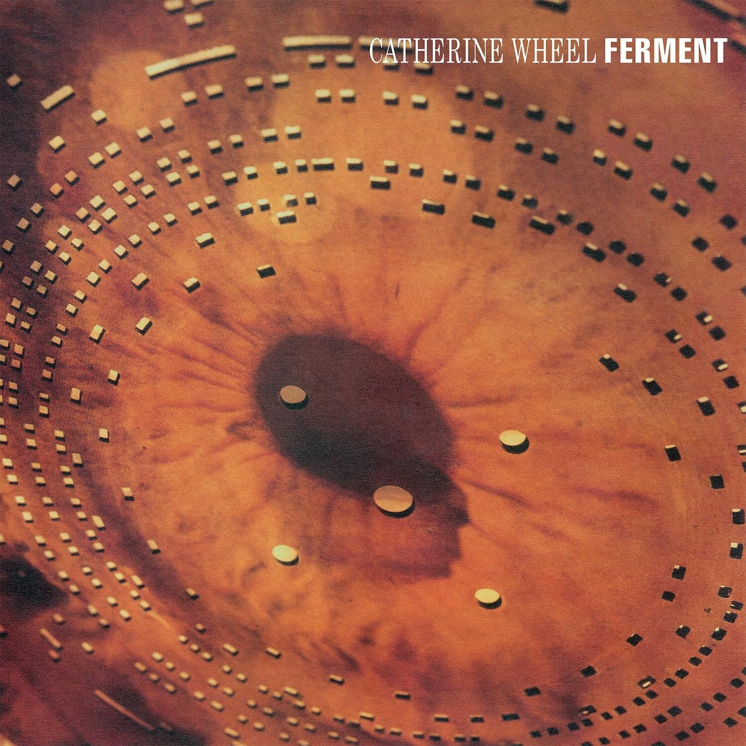CATHERINE WHEEL - Ferment (reissue) - Vinyl (180 gram vinyl LP + 12"")