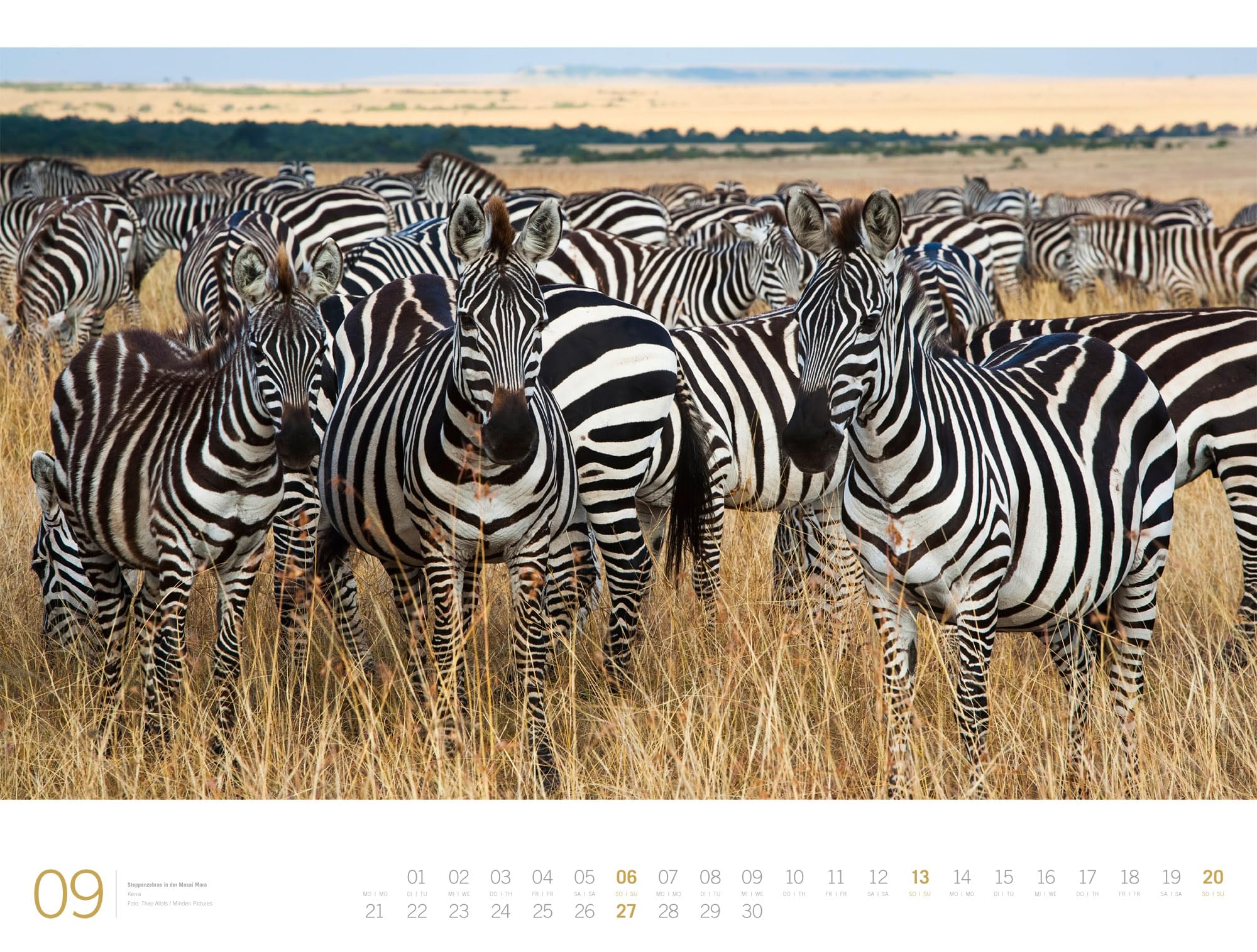 Afrika Gallery Kalender 2026: Bildgewaltiger Afrika-Kalender im großen Querformat (66x50 cm) | Tiere und Landschaft im Großformat