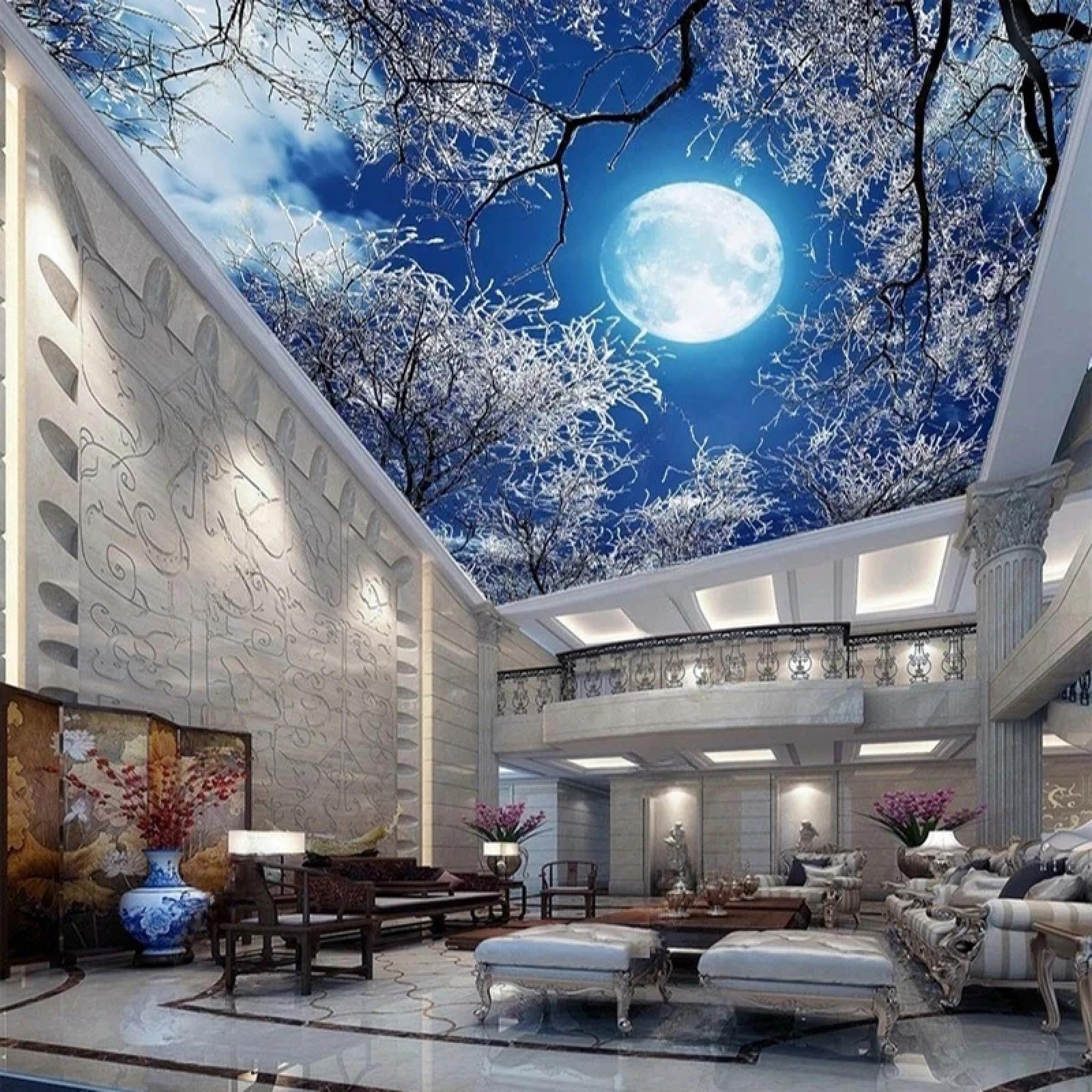 Décoration de plafond intérieure effet 3D relief avec ciel bleu nuit et lune