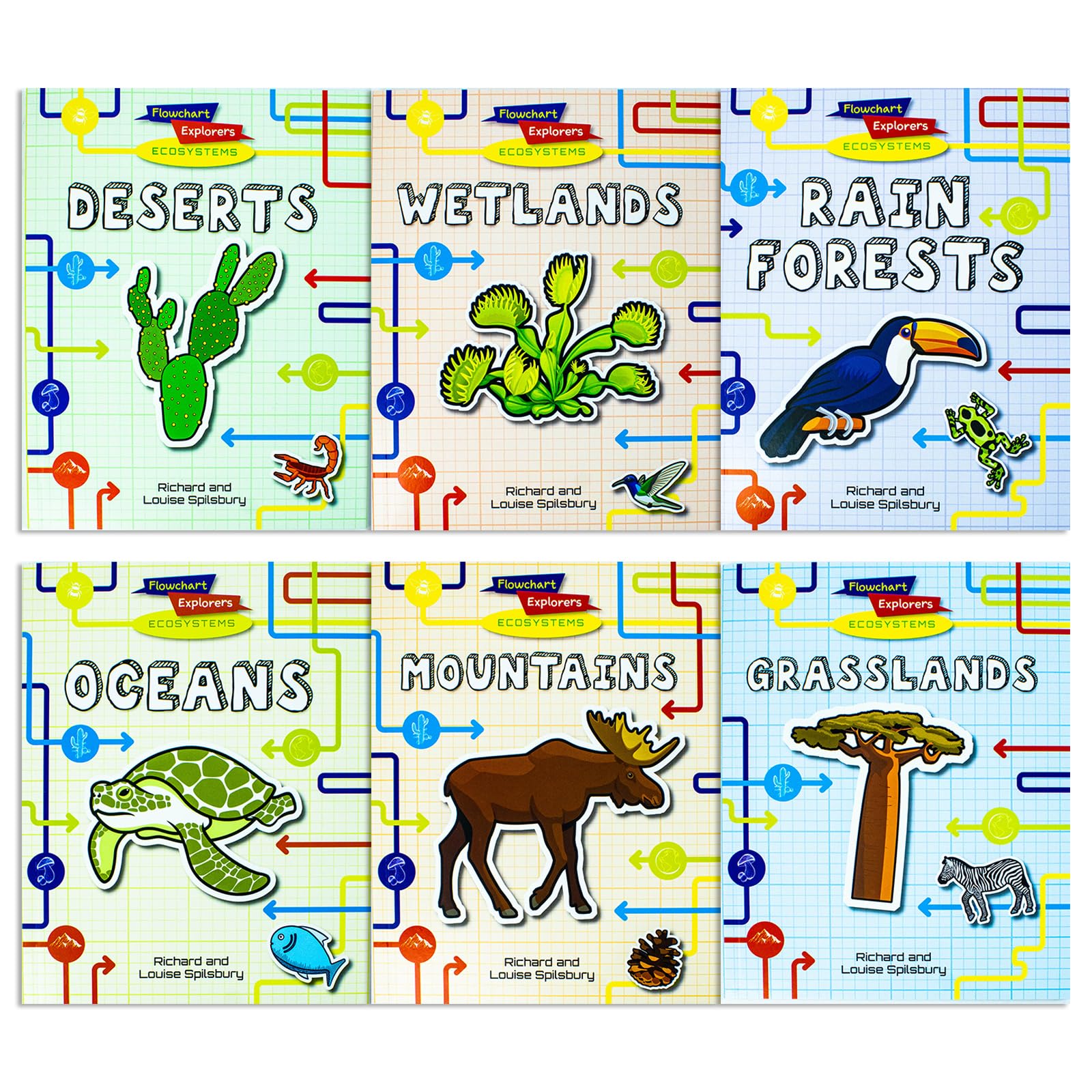 Flowchart Explorers Ecosystems STEM 6 Geography Science Books Set: (Deserts, Grasslands, Mountains, Oceans, Rain Forests, Wetlands)