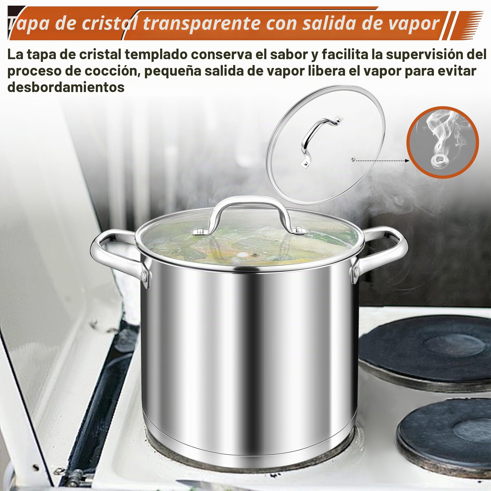 TEAMFAR olla 10L, olla grande de acero inoxidable para pasta de inducción con base de 3 capas para todo tipo de cocinas, tapa de cristal, olla sopera de 24cm olla para carne para cocinar