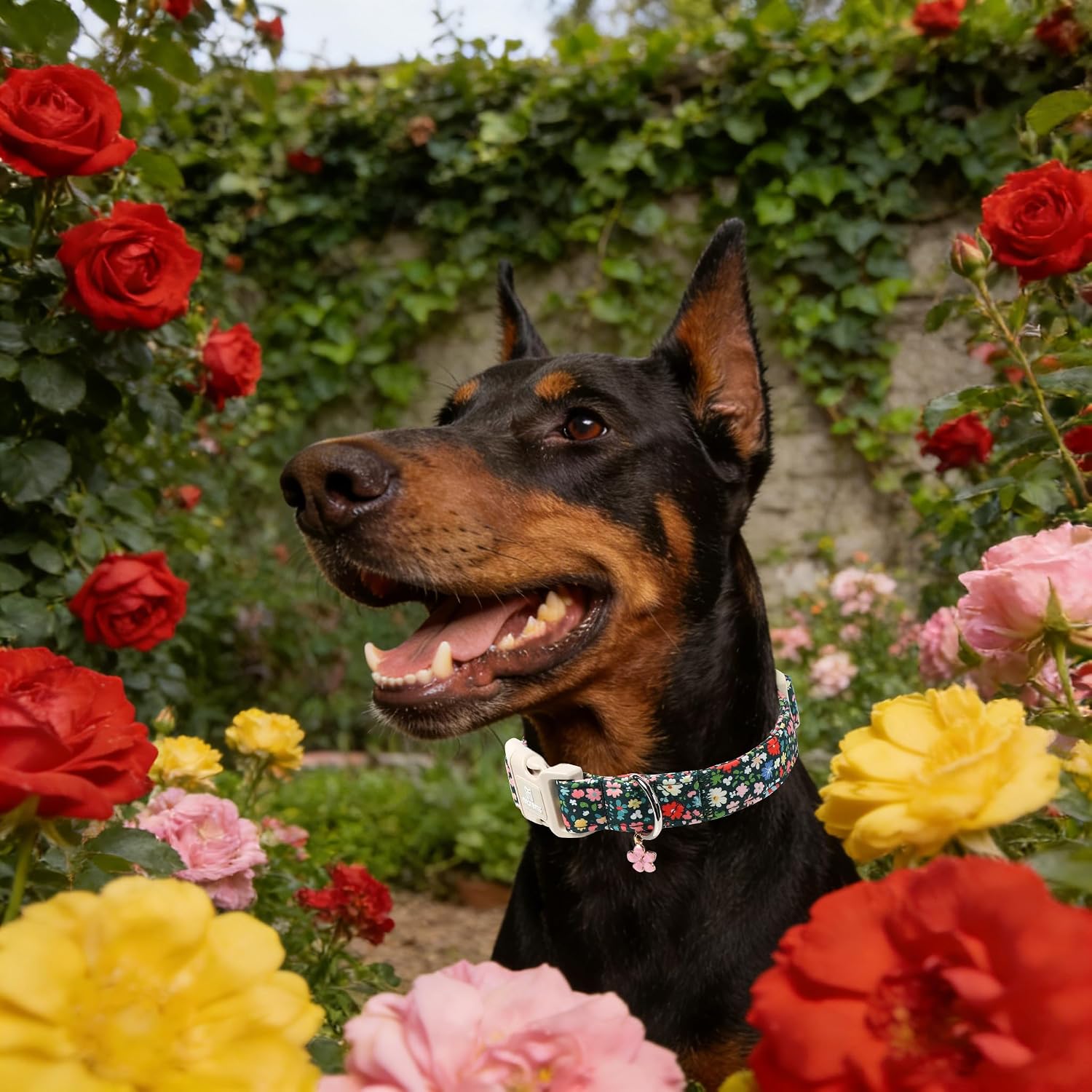 Maca Bates Spring Flower Basic Dog Collar with Blossom Charm for Small Girl Boy Dogs, Dark Green Floral Pattern,Pretty Adjustable Durable Soft Flowers Collars Gift for Male Female Puppy image 2