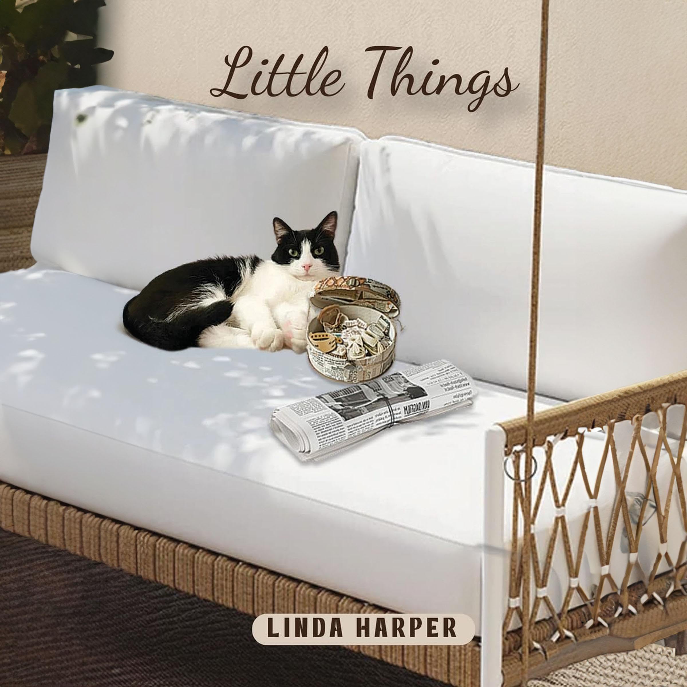 Cover art for Little Things