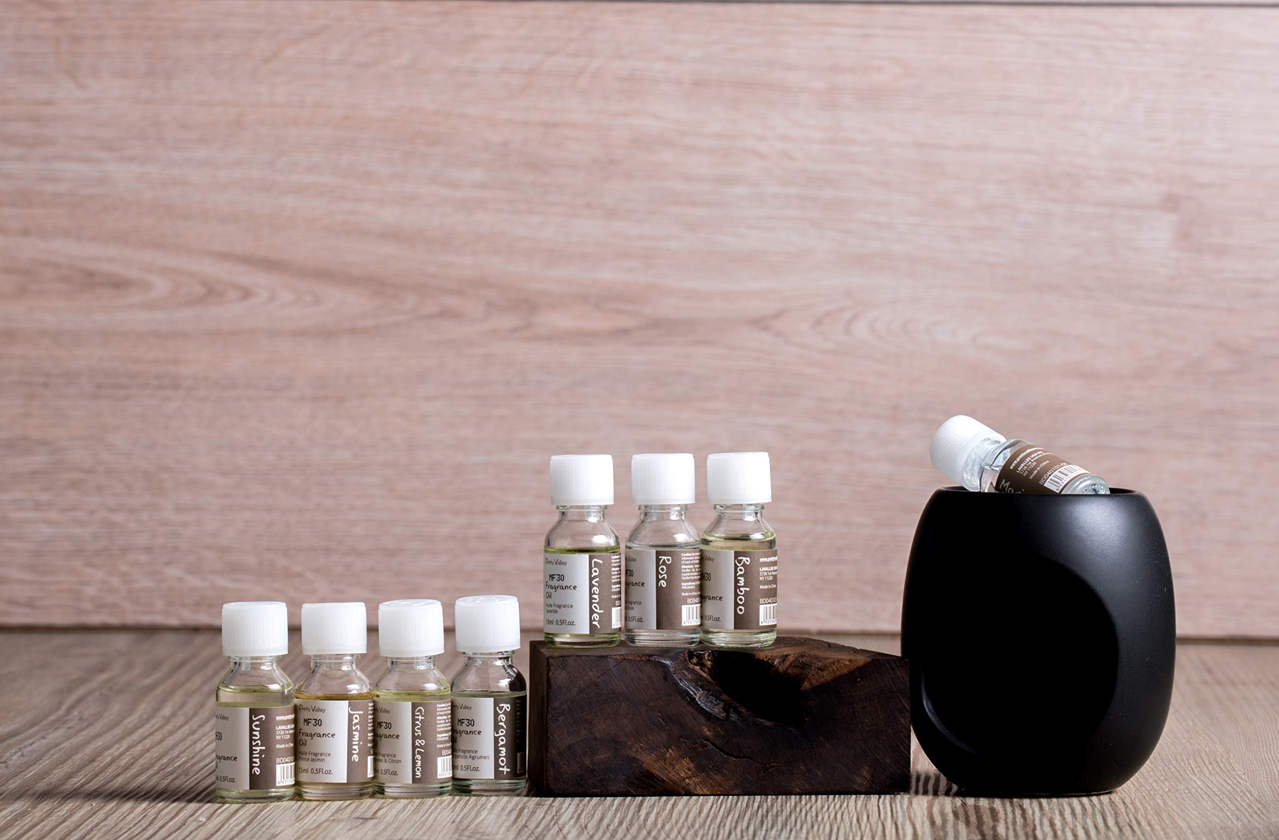 Pretty Valley Home - Black Decorative Oil Warmer