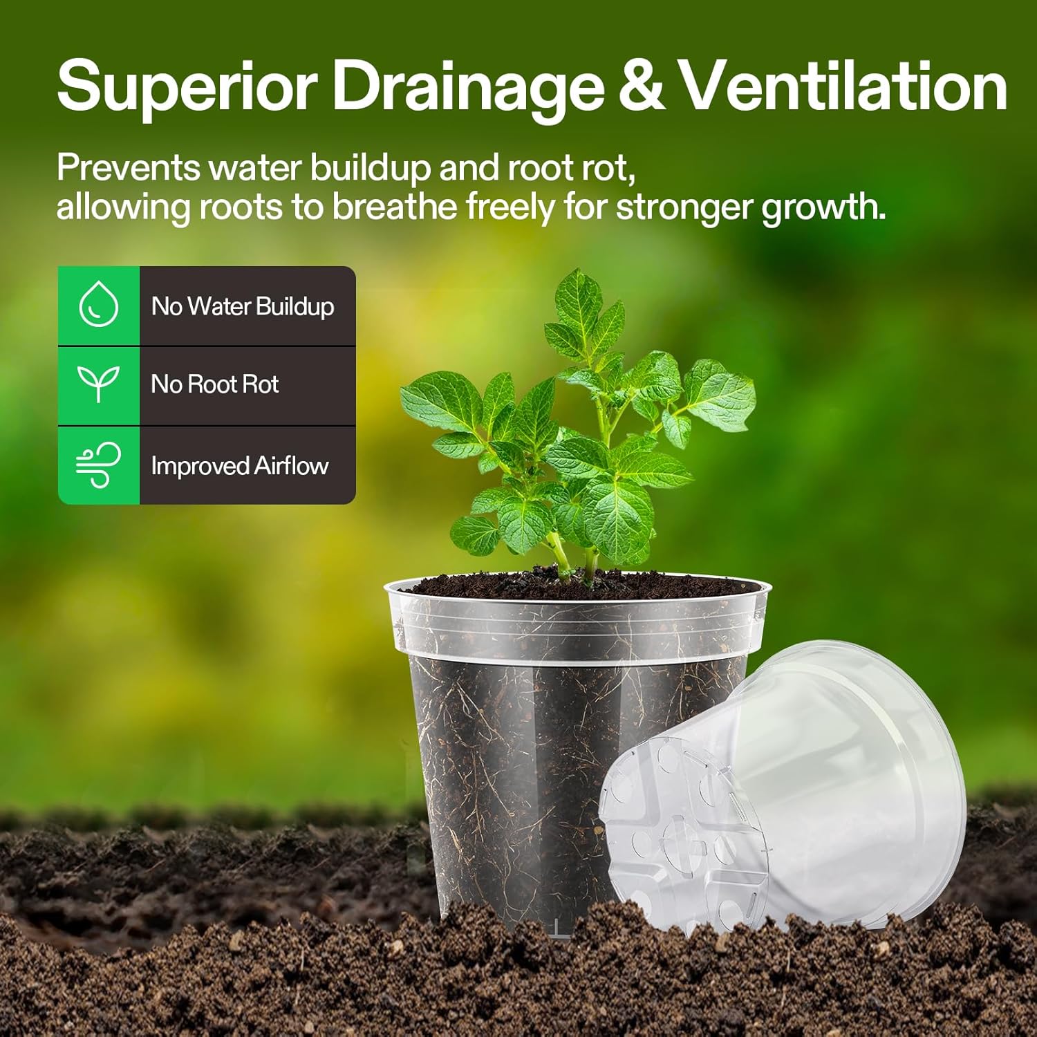 VIVOSUN 72 Packs 4/5/6 Inch Clear Nursery Pots with Drainage Holes, Reinforced Plastic Seedling Pots for Plants, Flowers, Cuttings, and Succulents, 40 pcs Plant Labels