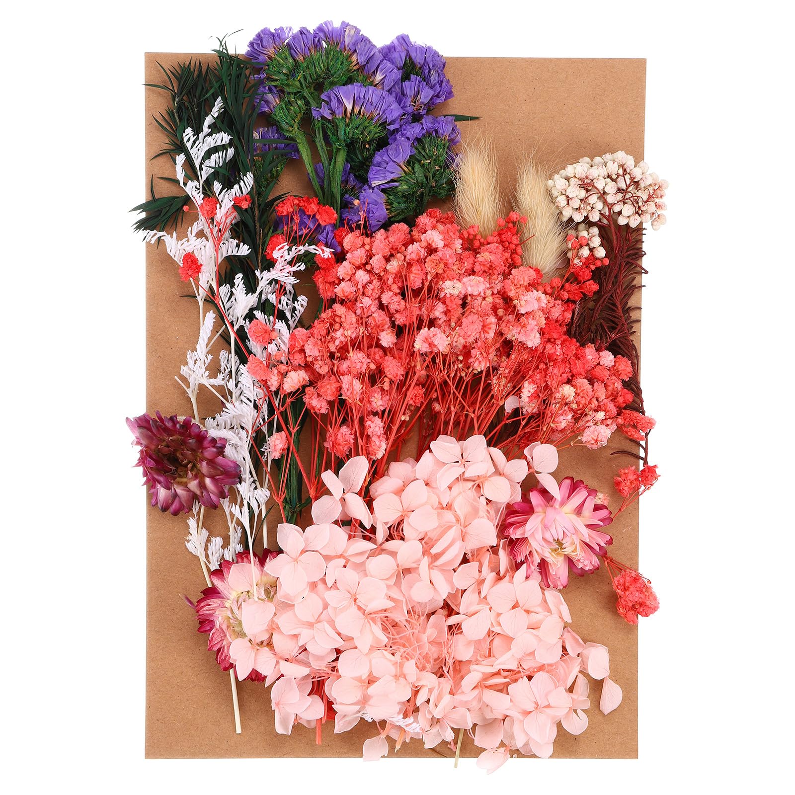PATIKIL Pressed Flowers for Craft Bulk Dried Flowers Natural Pressed Flowers Leaves for Resin Soap Candle Scrapbooking DIY Gift Papermaking