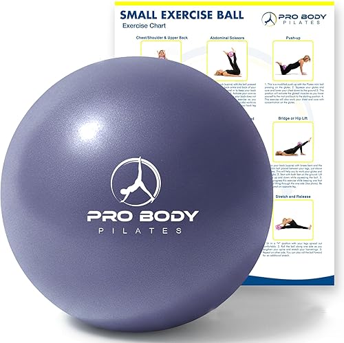 Vista 10 de ProBody Pilates Bola de 9 pulgadas – Pequeña pelota de ejercicio para estabilidad, barras, núcleo, ejercicios abdominales, yoga y terapia física