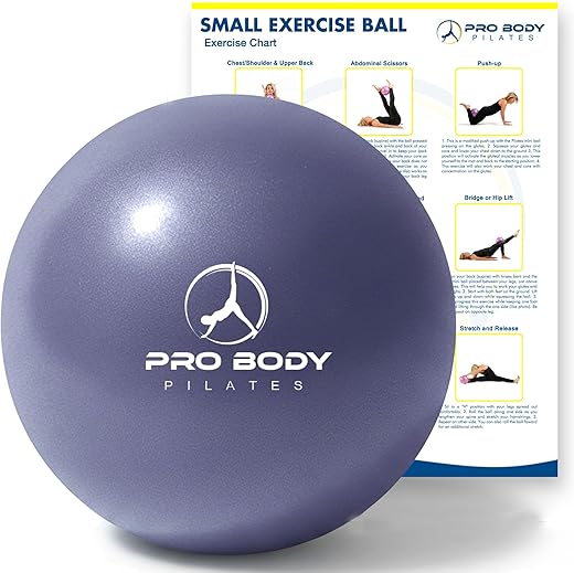 ProBody Pilates Ball Small Yoga Ball, 9 Inch Exercise Ball with Exercise Guide, Fresh Colors Mini Soft Therapy Ball Stability Ball, Excercise Workout Ball, Core Ball for Barre and Balance