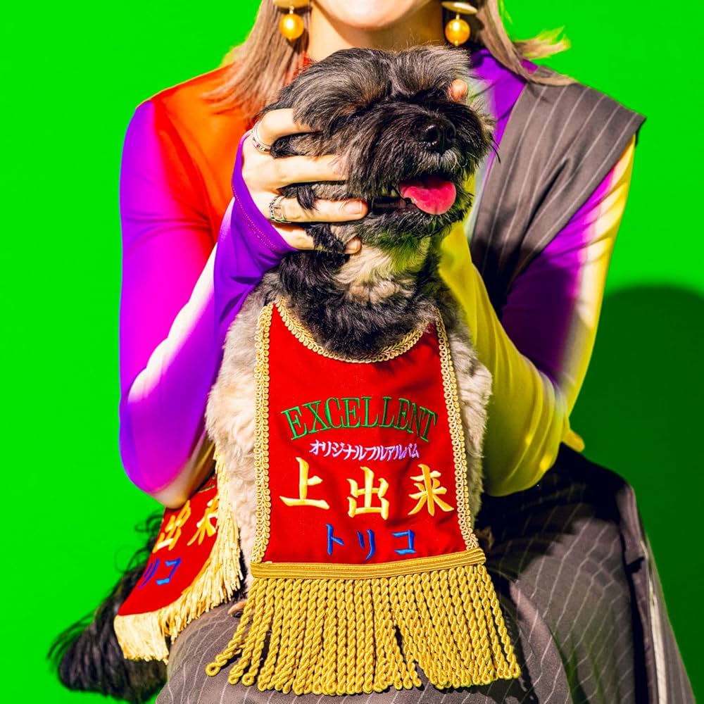 ミュージシャン tricot DVD tricot - 上出来