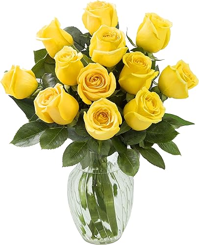 Una docena de rosas amarillas You Had Me At Hello de Kabloom