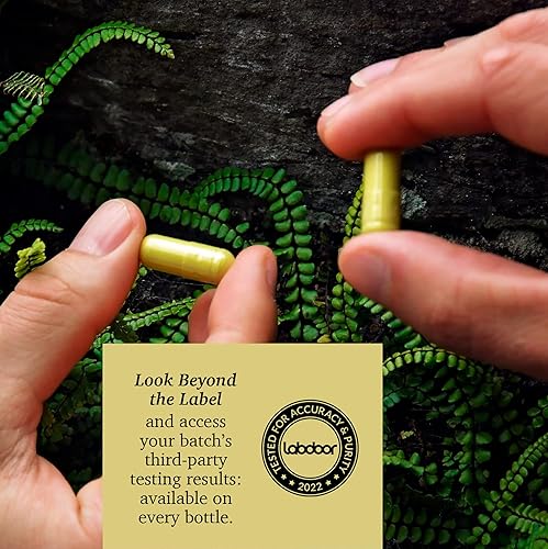 Miniatura 6 de Rootcha Quercetina con bromelina - Serie potente antioxidante - Salud inmunológica, apoyo oxidativo del estrés, salud intestinal y comodidad