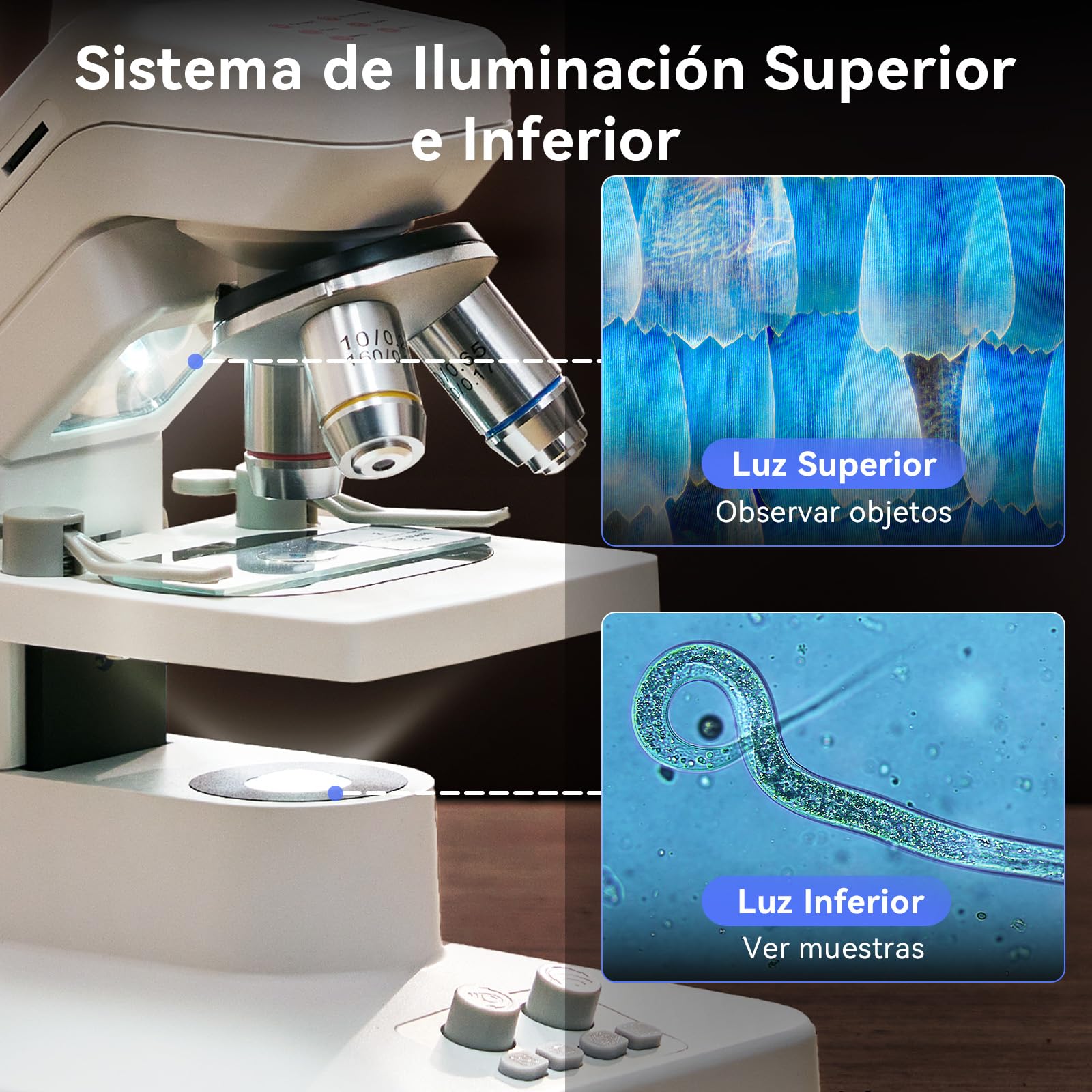 TOMLOV DM301 Pro Microscopio Biológico 1200X: 7" Microscopio Digital para Adultos y Niños, 3 Lentes, Escala de Medición Integrada, Iluminación LED Doble, Compatible con Teléfono, PC y TV