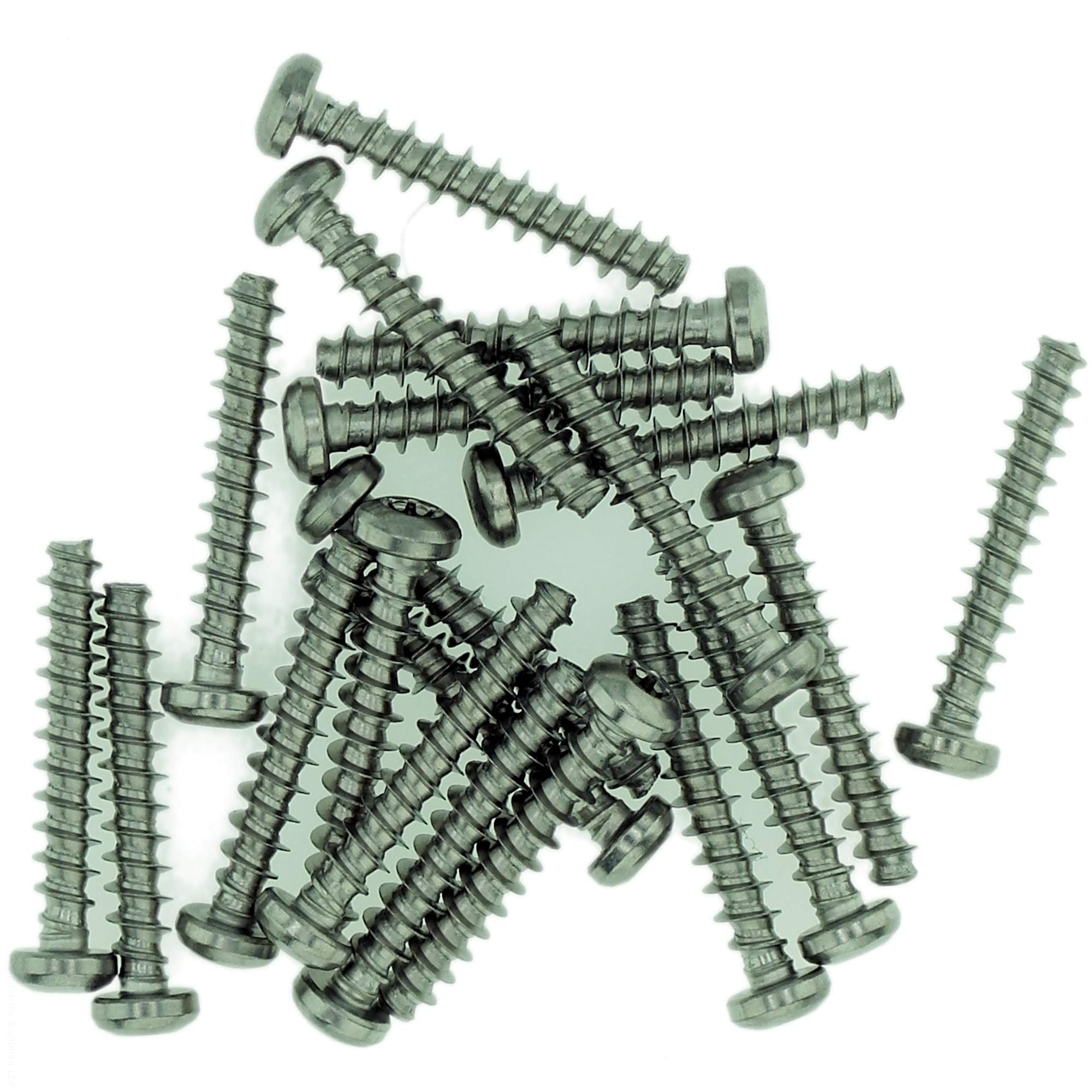 Singularity Supplies D4 (4Mm X 16Mm) Tx Pan Screws For Plastic - Stainless Steel (A2) (Pack Of 20)