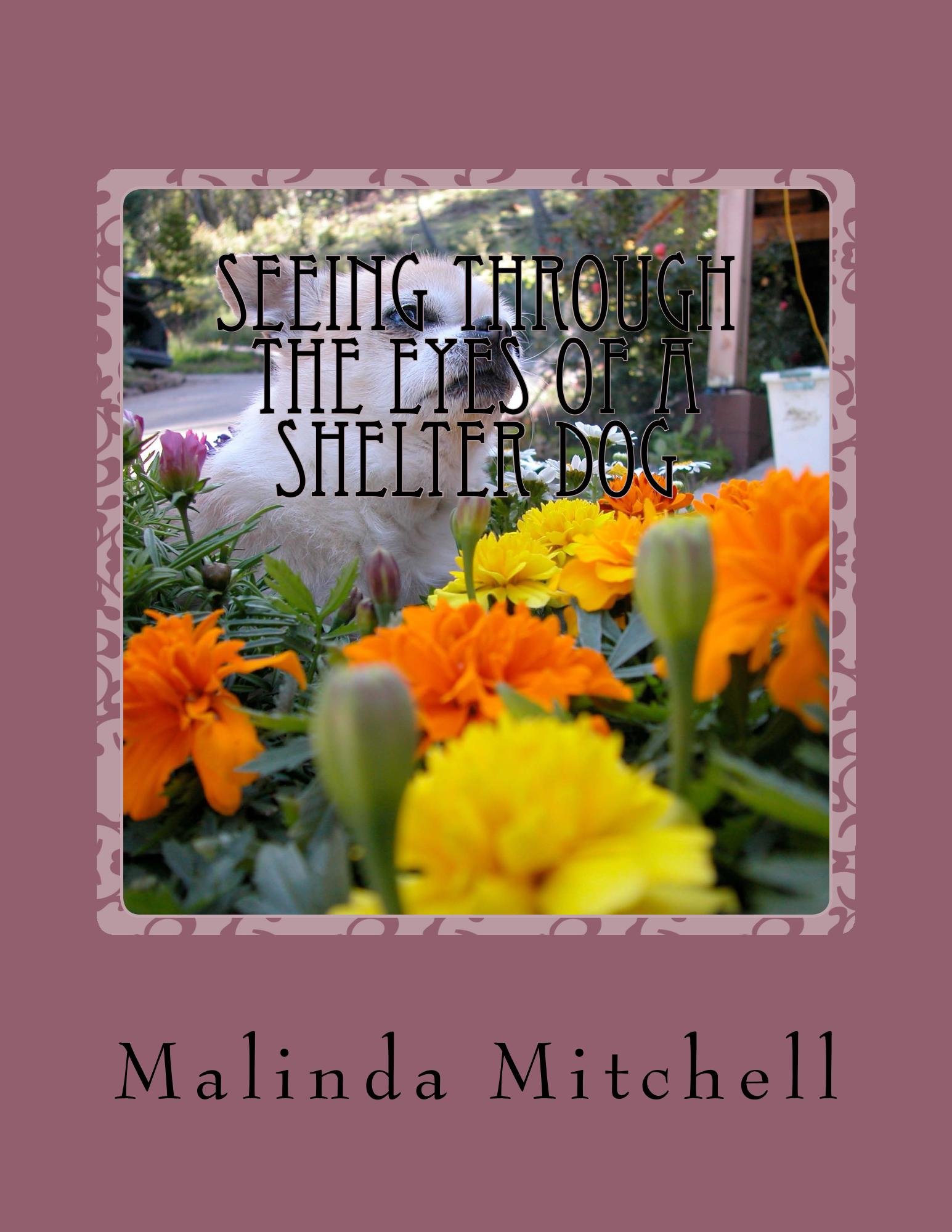 Book review of Seeing Through The Eyes of a Shelter Dog - Readers ...