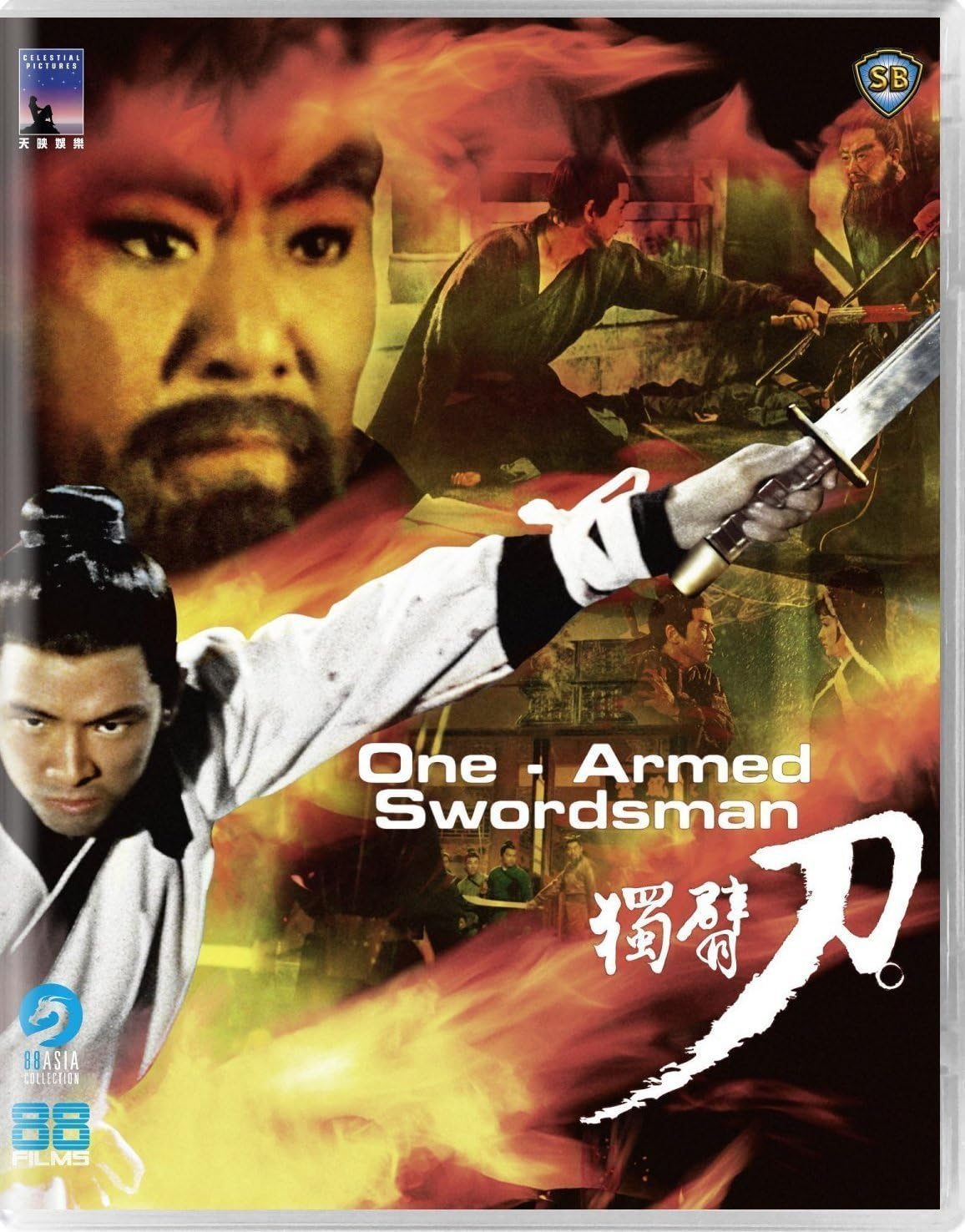 One Armed Swordsman