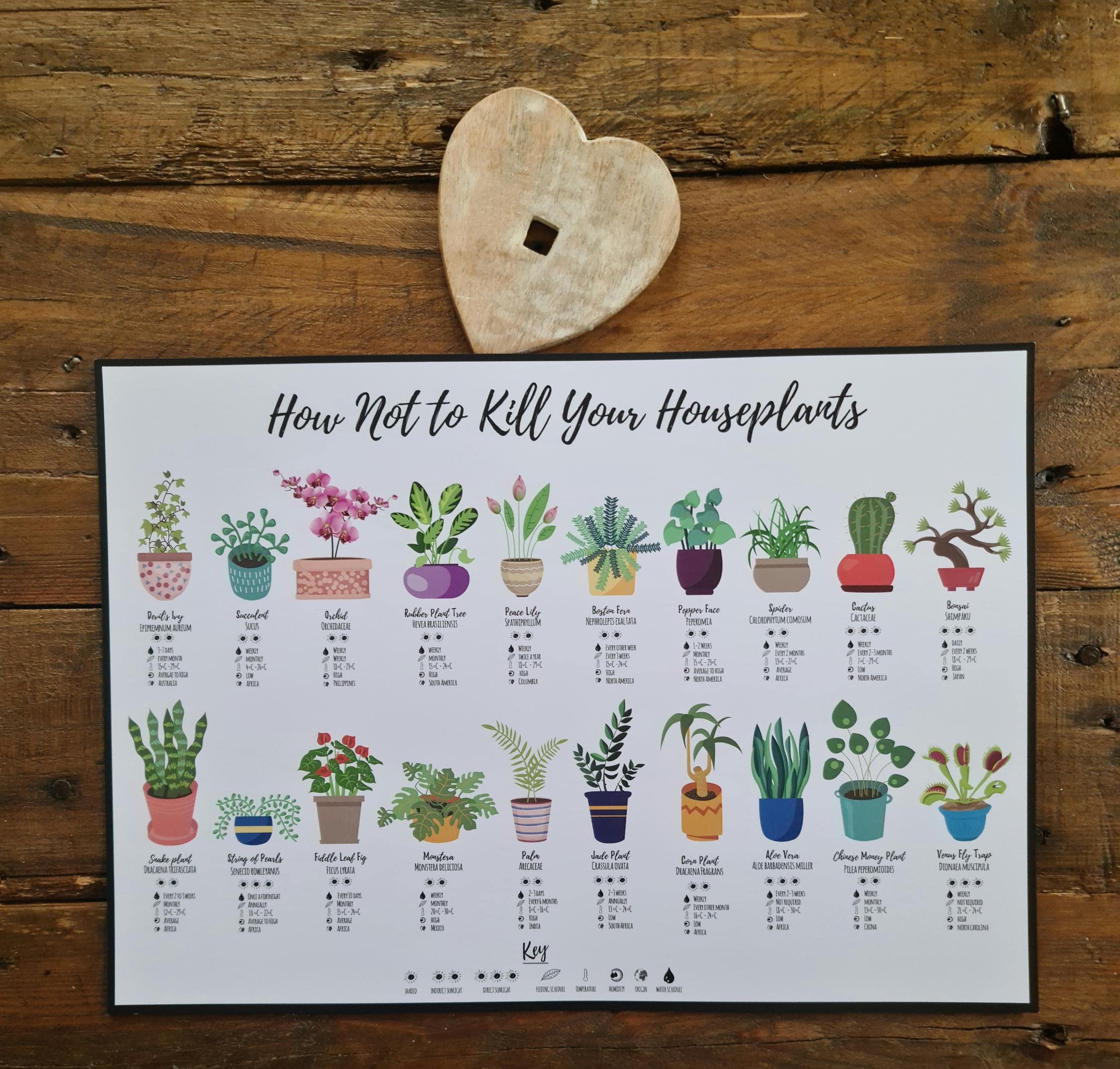 Poster How Not To Kill Your Houseplants, stampa per la casa, regalo per gli amanti della natura e della fauna selvatica (A3 senza cornice