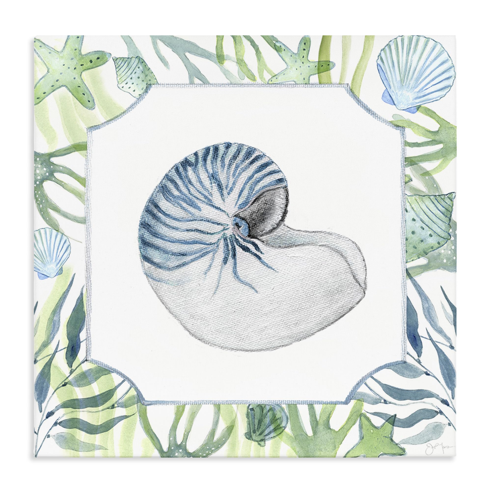 Stupell Industries 'Seaweed & Seashells Aquatic', Canvas Art, 36 x 36 Inches, Easy to Hang and Sturdy, Made in USA, by Janet Tava