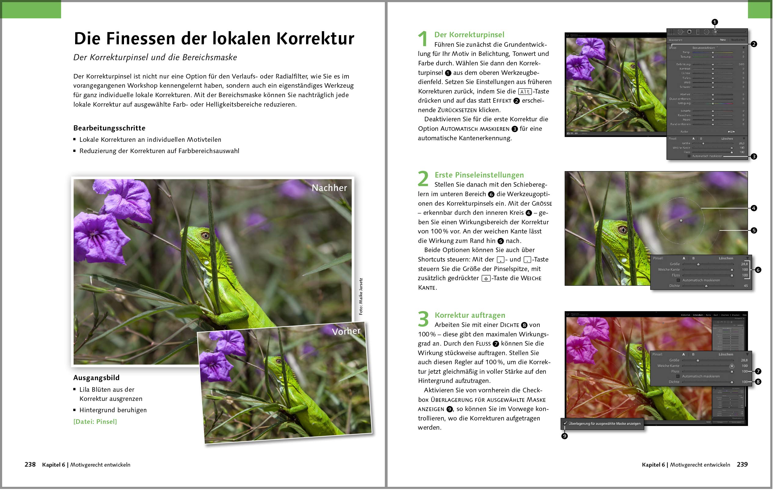 Lightroom Classic: Schritt für Schritt zu perfekten Fotos – für Einsteiger und Fortgeschrittene – Auflage 2020