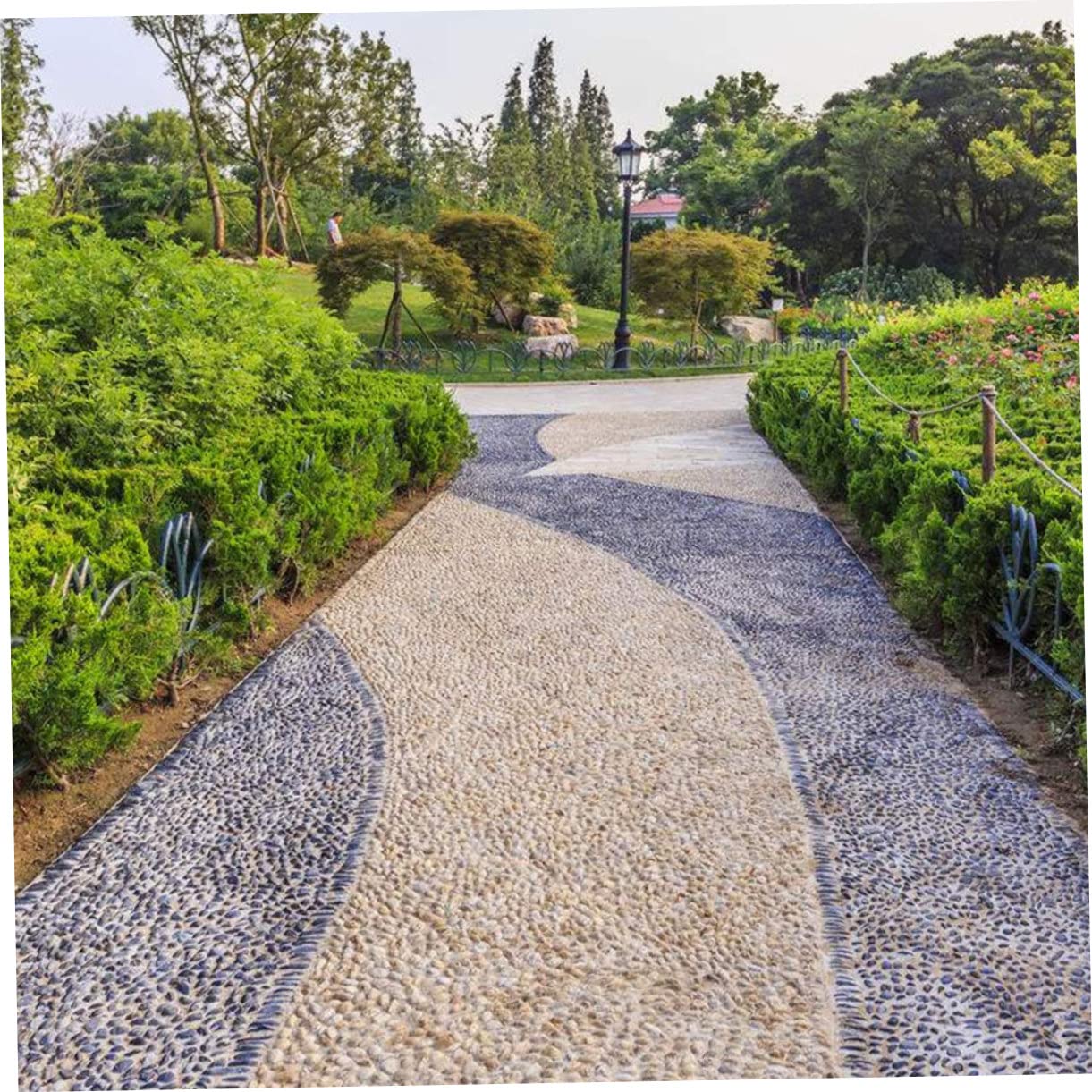 BESPORTBLE Ciottoli Decorativi Per Acquari e Vasi Da Fiori Ciottoli Naturali Lucidati in Pietra Di Decorazioni Per Acquari e Piantine