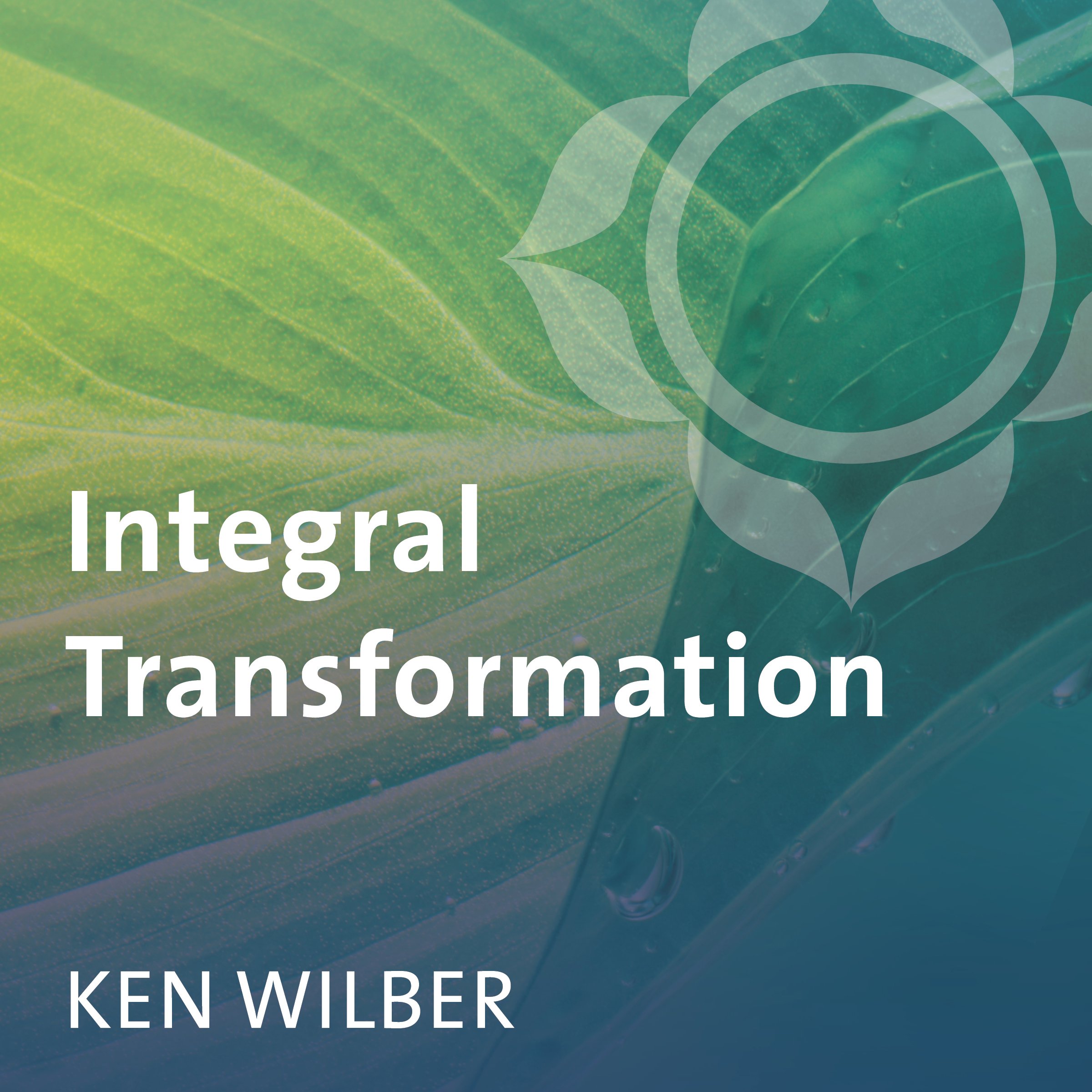 Integral Transformation
