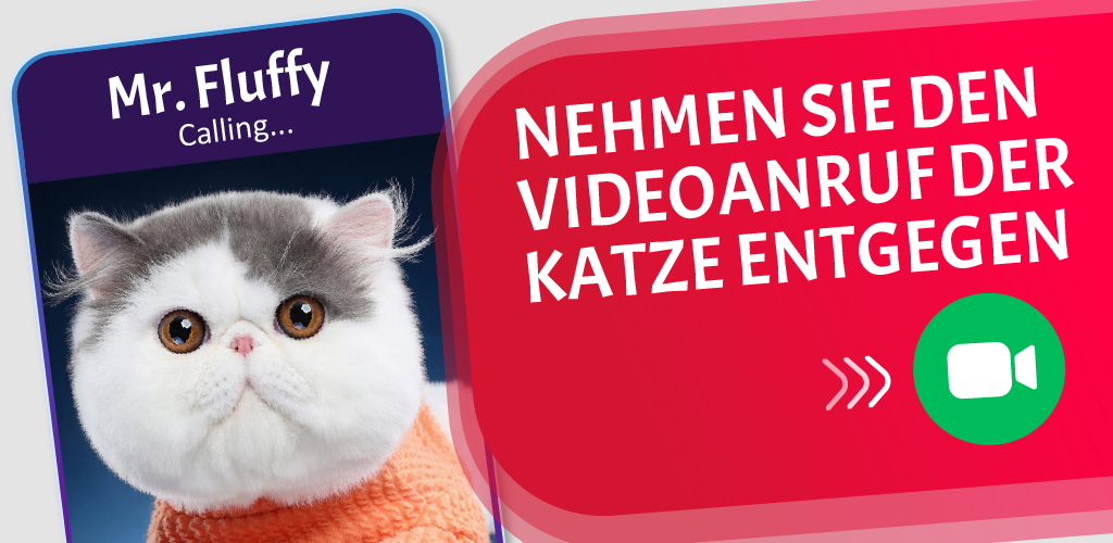 Kitty Call: Play with Cats:www.amazon.com:Appstore for Android