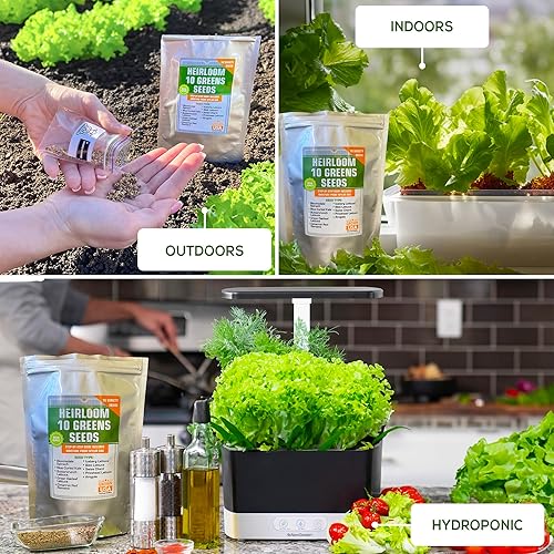 Miniatura 3 de Heirloom - Paquete variado de semillas de lechuga y verduras sin OMG para jardinería e hidropónica en interiores y exteriores, más de 5000 semillas,