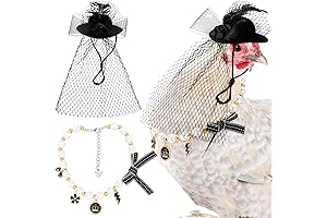 Colorful Chicken Clothes for Hens