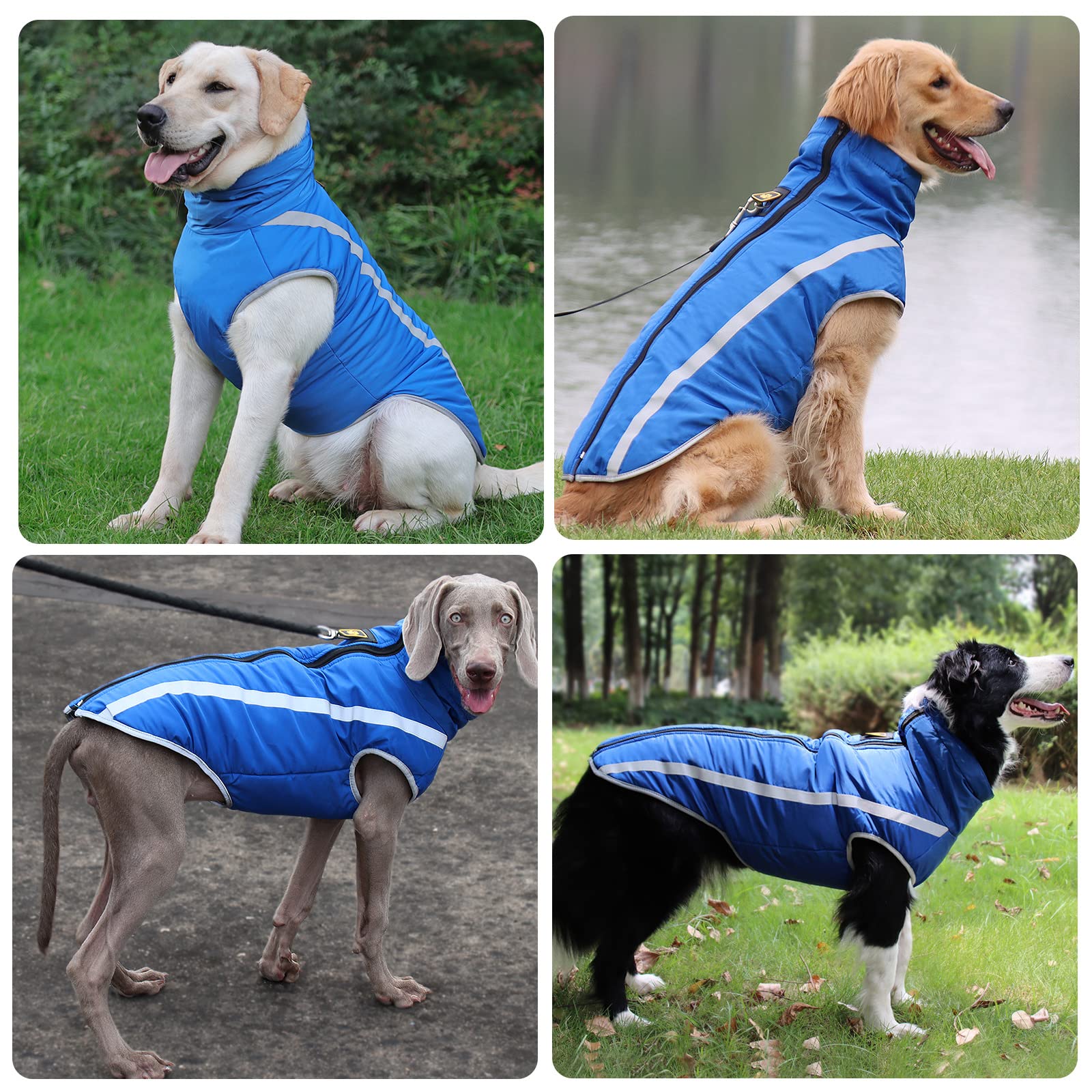 TYGO & Vito Gewatteerde Winterjas Jeff Van Gerecycled Polyester Armygroen Donkerblauw Felgroen 17157546 TYGO & Vito Gewatteerde Winterjas Jeff Van Gerecycled Polyester Armygroen Donkerblauw Felgroen 17157546