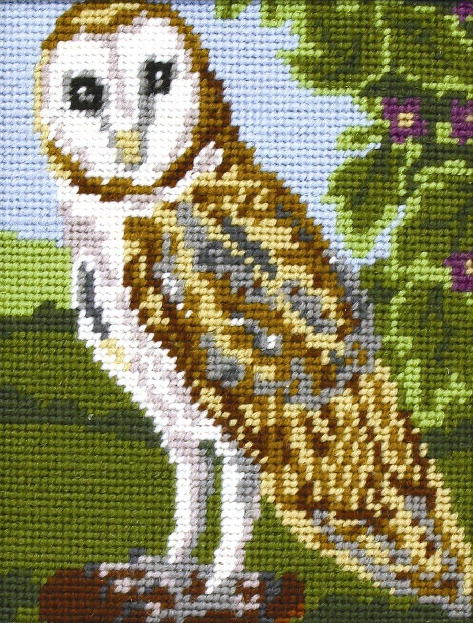 Anchor Starters Owl Tapestry Kit Amazon.co.uk Home & Kitchen