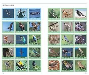 写真記録　日本鳥類狩猟法　堀内讃位　野鳥　限定版 写真記録 日本鳥類狩猟法 堀内讃位 野鳥 限定版 写真記録 日本鳥類