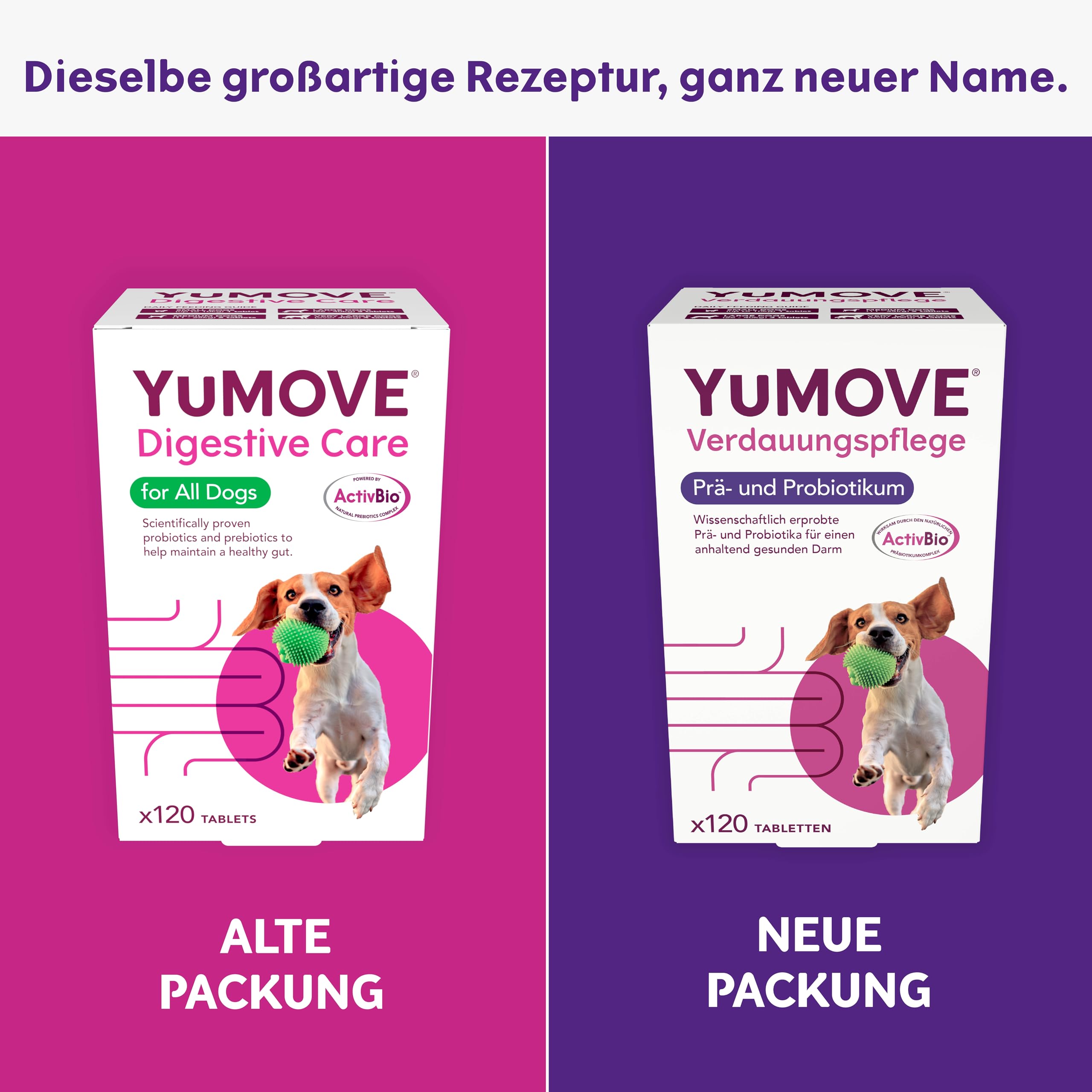 YuMOVE Probiotika Hund Tabletten - 120 Stück - Mit 200 Mio Guten Bakterien Enterococcus faecium & ActivBio Prebiotika MOS scFOS Beta-Glucane - Hund Darmflora Aufbauen & Natürliche Verdauungsbalance