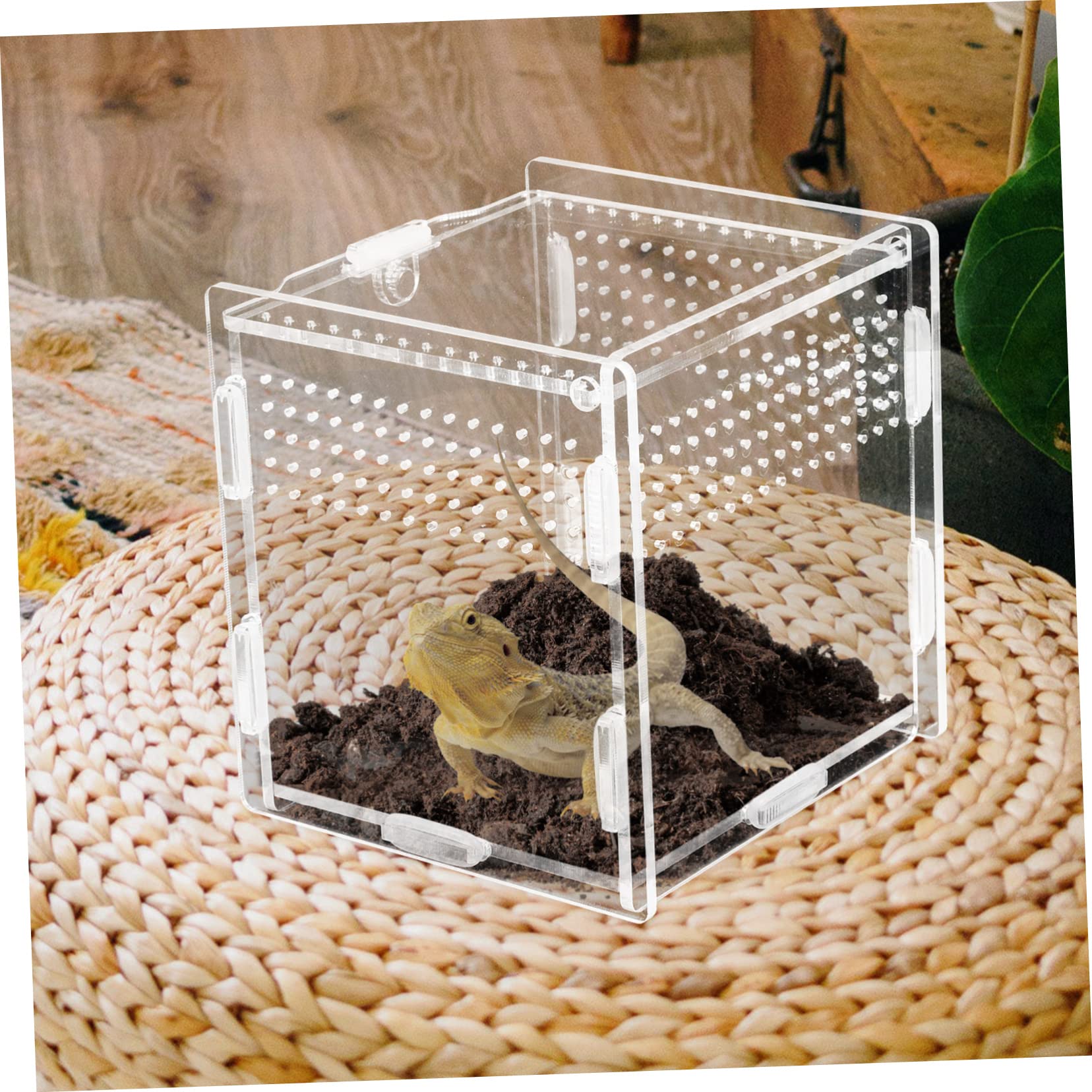 SUPVOX 3pezzi Terrario Acrilico per Rettili Alimentazione per Tarantole Gechi e Esotici