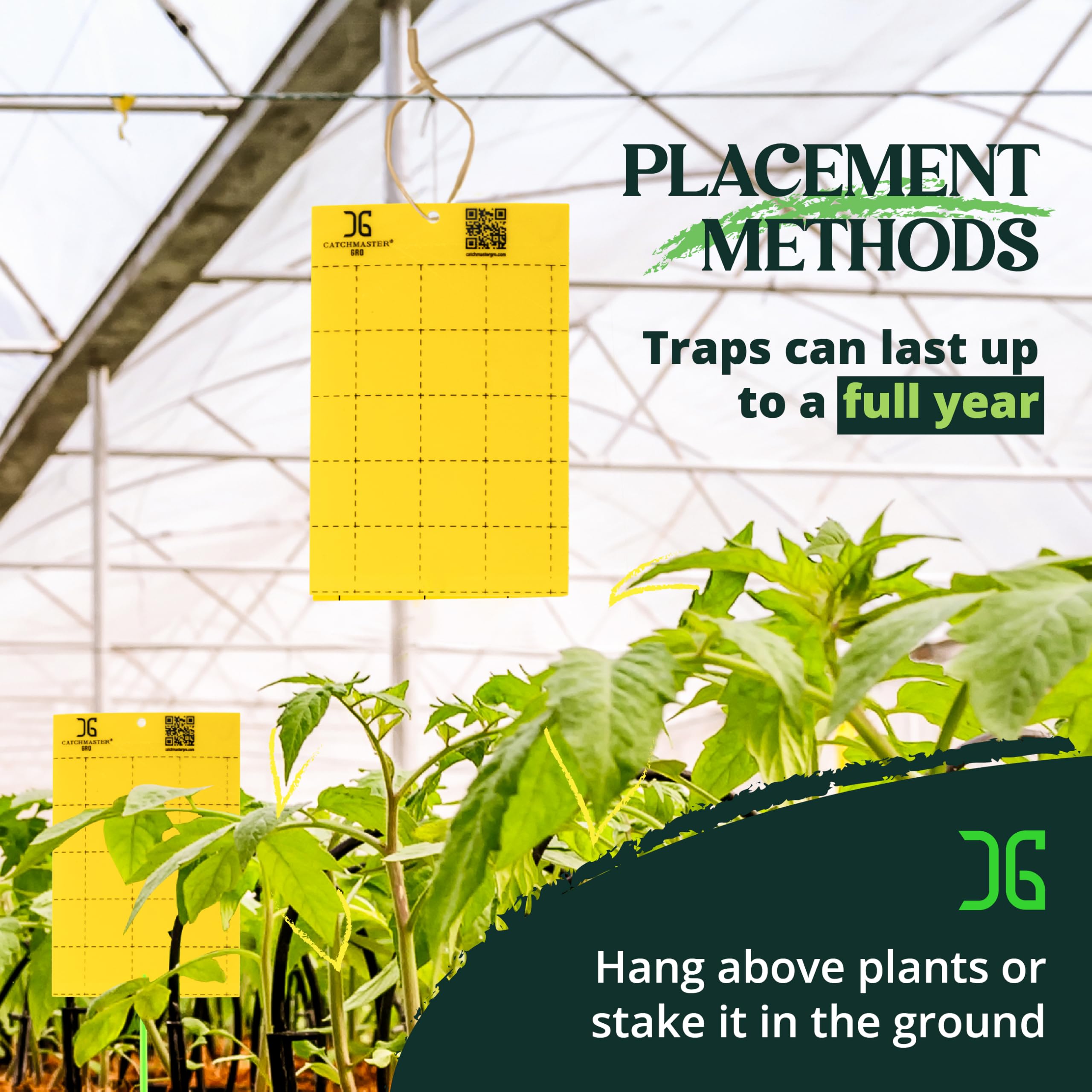 Catchmaster GRO - Trampa adhesiva amarilla para insectos para exteriores, protege plantas vivas en interiores, insectos y moscas de la fruta, trampas de pegamento para el hogar, granja, jardín,