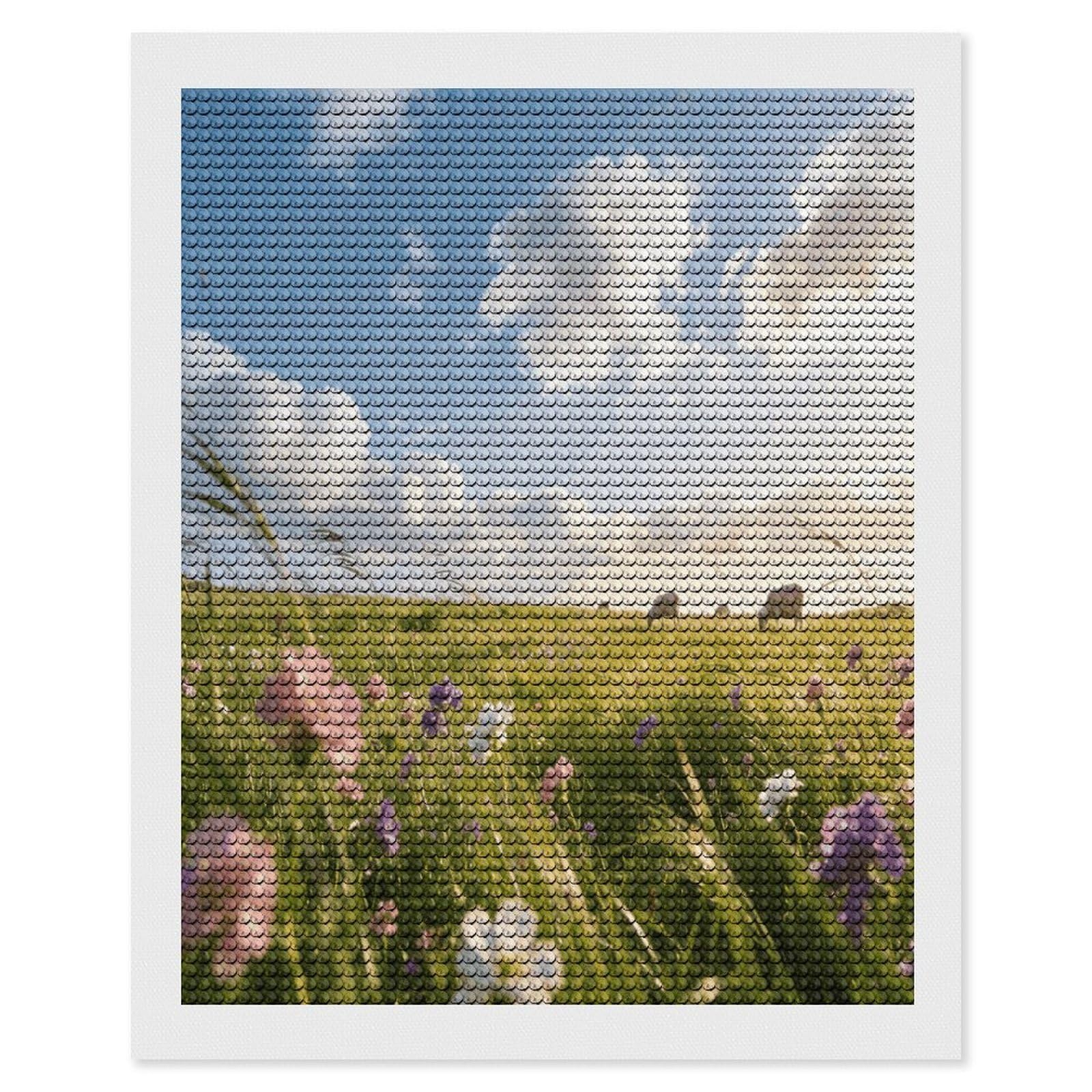 FekiLoot Meadow Paint by Numbers Kit for Adults Beginner DIY Diamond Dots Paintings Round Full Drill Diamond Art Kits Picture Diamond Art Painting Kits for Home Decor 16"x20"