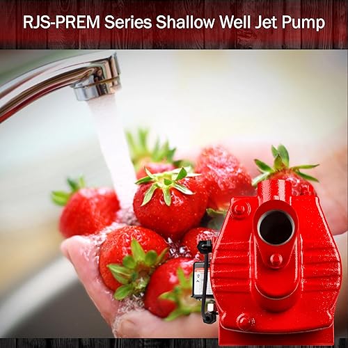 Miniatura 7 de Bomba de chorro Red Lion RJS-50-PREM para pozos poco profundos, de hierro fundido, Rojo, RJS-50-PREM