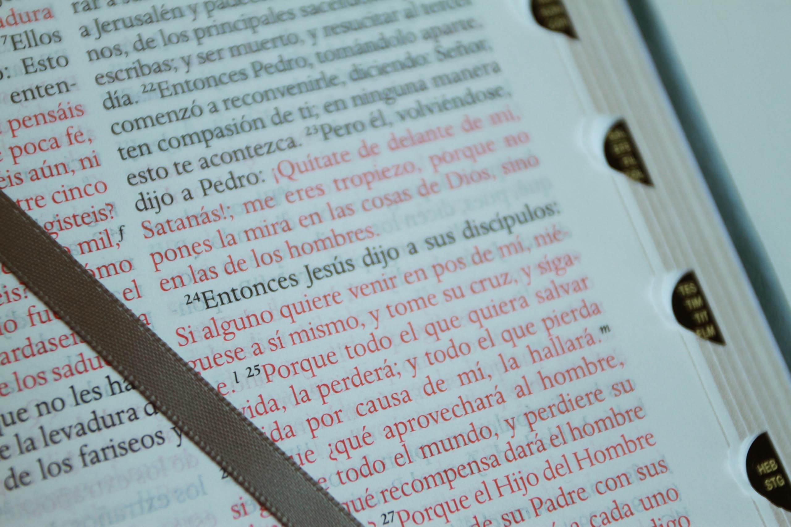 Biblia RVR 1960 letra grande tamaño manual, Piel gris con índice / Spanish Bible RVR 1960 Handy Size Large Print Leathersoft Gray with index