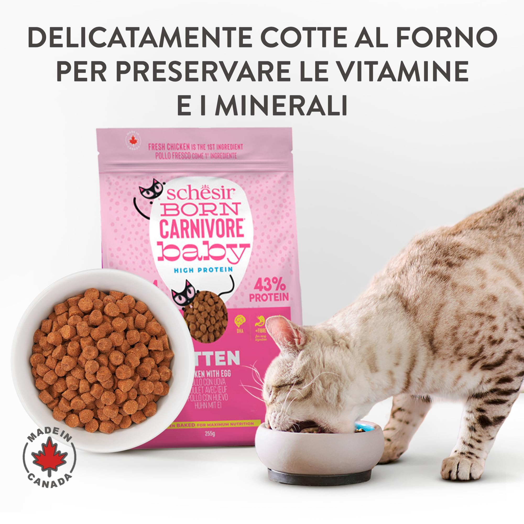 Schesir Born Carnivore Baby, saveur Poulet et œuf, croquettes pour Chatons, croquettes cuites au Four (Sachet de 1,25 kg)