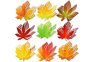 Fall Bulletin Board Decorations: Express Gratitude with Every Leaf